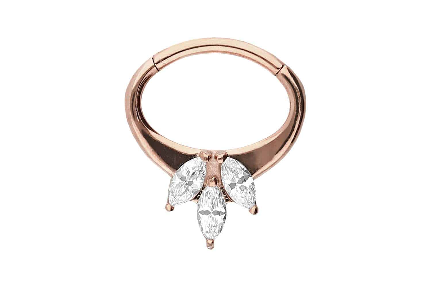 Chirurgenstahl Segmentring Clicker Piercing 3 EINGEFASSTE KRISTALLE